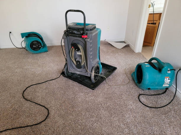 Best Commercial water damage restoration  in Barnwell, SC