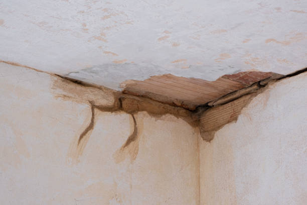 Best 24-hour water damage restoration  in Barnwell, SC
